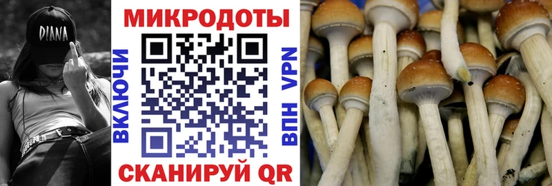 Галлюциногенные грибы Psilocybe  как найти закладки  Подольск 